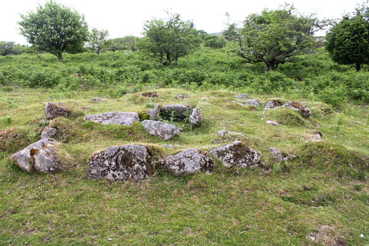 Cairn and Cist on southern slopes of Leather Tor, Dartmoor. 
SX56313 69532