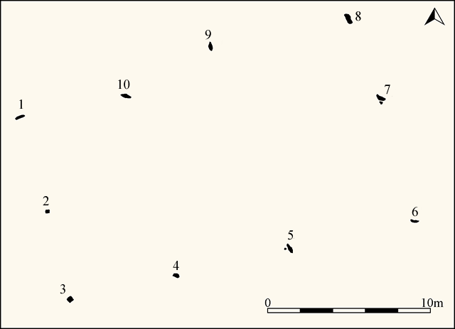 Plan of Cheriton Ridge 2 stone row showing the position of the numbered stones (Source: survey at 1:200 by Sandy Gerrard).