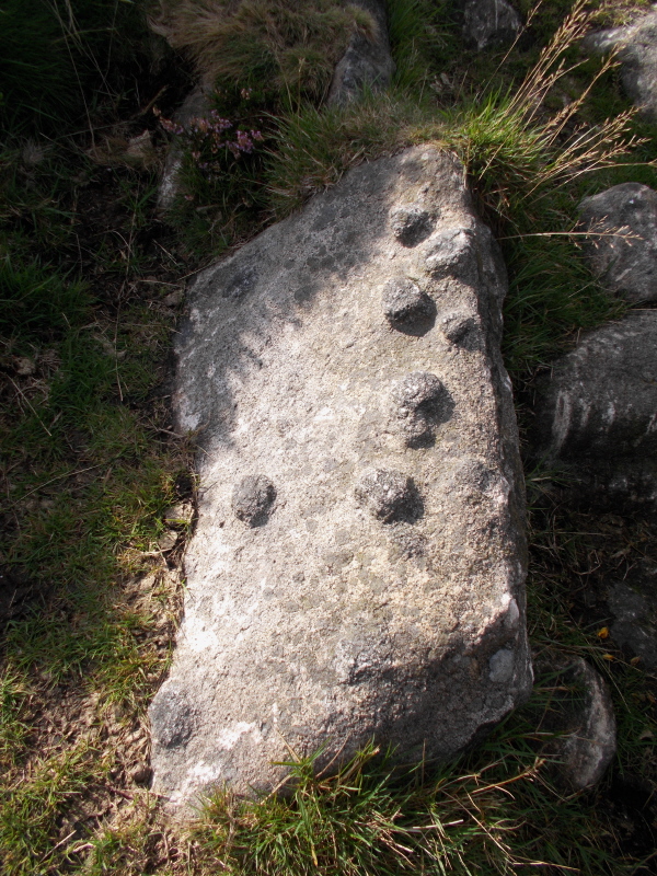This is the stone I mentioned to Dr Nick Le B tonight [19th Sept].  It lay in a narrow track from Corndon Tor to the interesting granite outcrop at the SE of Corndon Down.  I'm fascinated by these black knobby protusions and would imagine the ancestors might have found them 'special'.  However, this one didn't seem to have been incorporated in any monument.
(The SE outcrop - like a huge pile of g