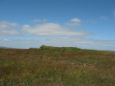 This cairn, at SX 59823 82745, marks the south terminal of the stone row.
Picture courtesy of Prehistoric Dartmoor Walks: 