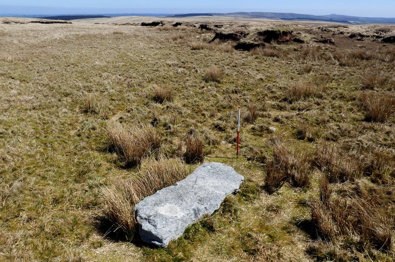Stone 2. View from above and south west (Scale 1m).