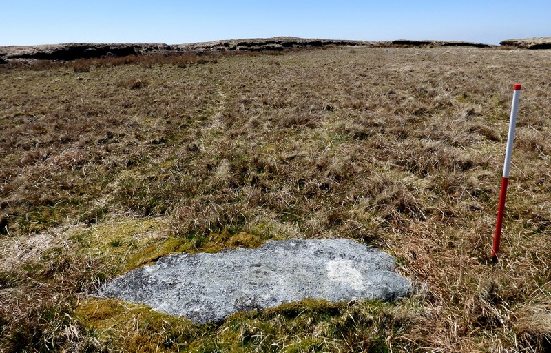Stone 3. View from north east (Scale 1m).  The barrow is clearly visible on the skyline.