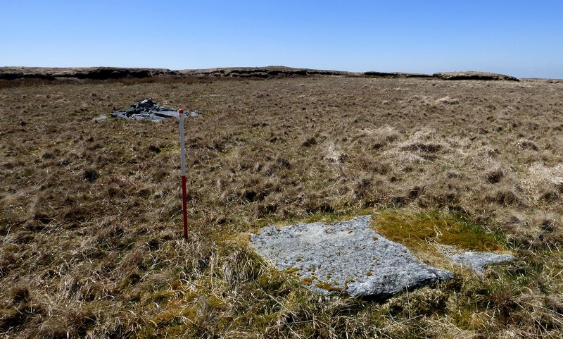 Stone 4. View from north east (Scale 1m). Cairn behind the ranging rod and barrow on the skyline.