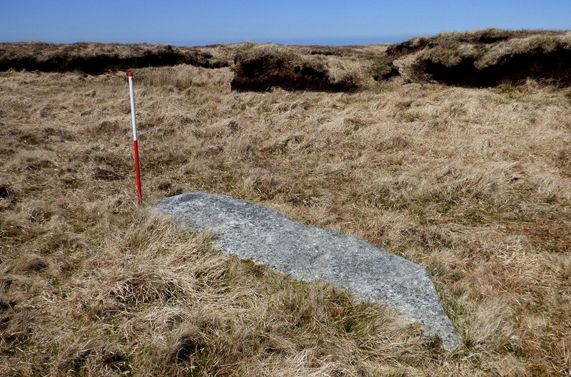 Stone 5. View from south (Scale 1m).  All these stones were originally covered in peat. This photograph gives a graphic idea of just how much has been removed. 