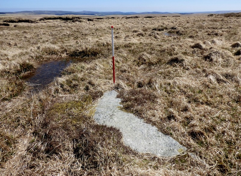 Stone 6. View from south (Scale 1m).