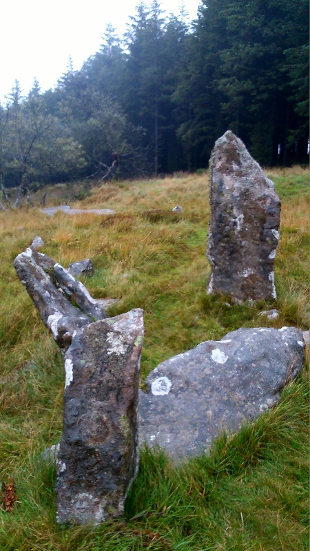 The large cluster of stones at the top of the hill.