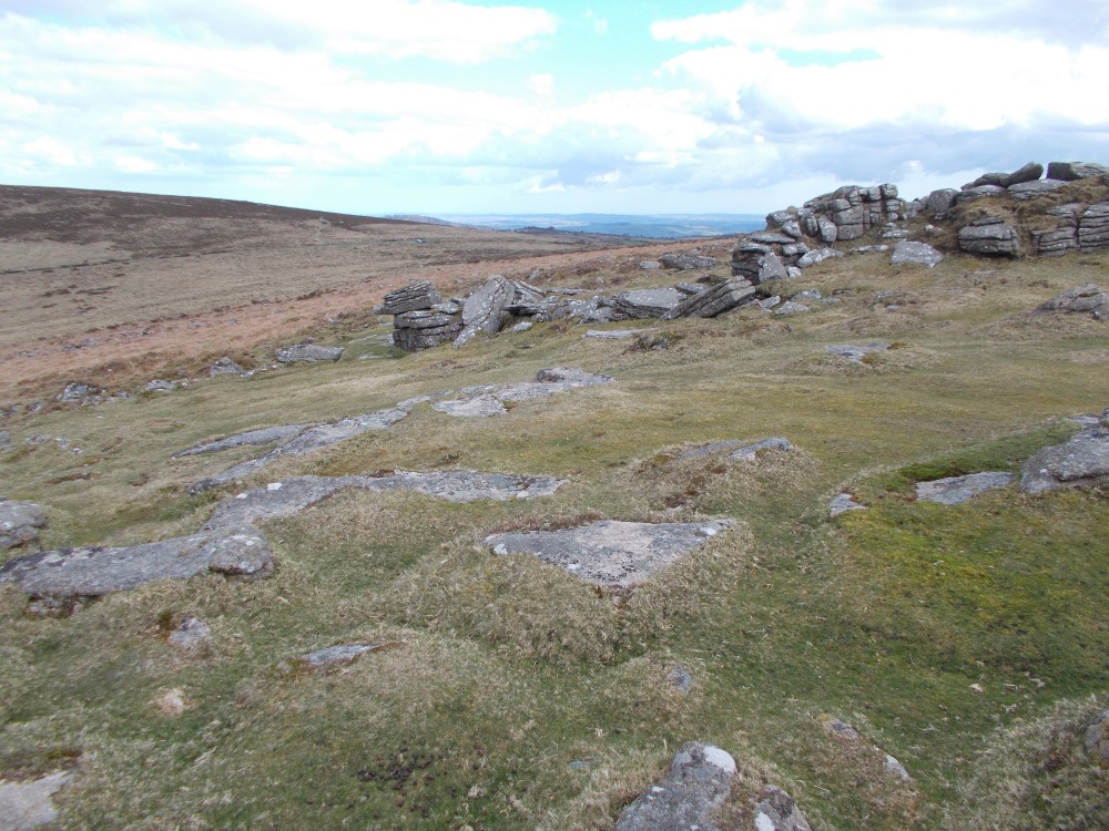 Looking across the enclosure to the lower slopes of Corndon Tor.
