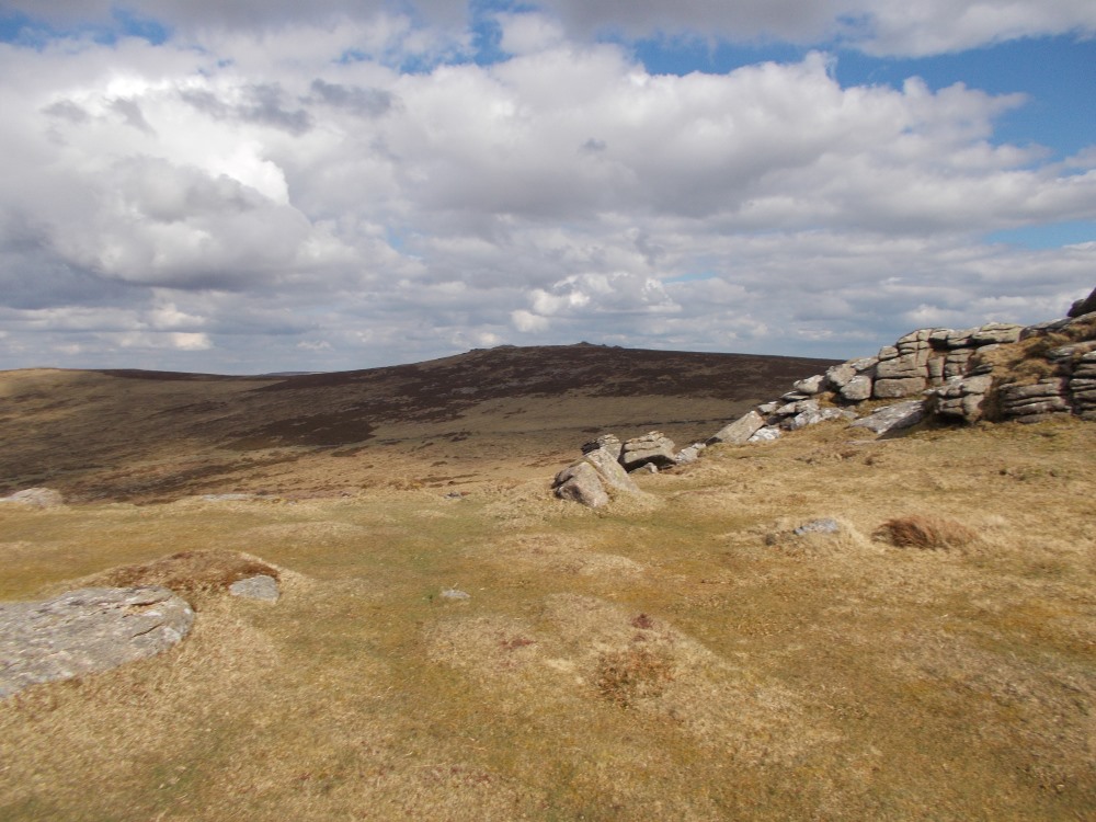 Inside the enclosure looking east towards  Corndon Tor.  April 2016.