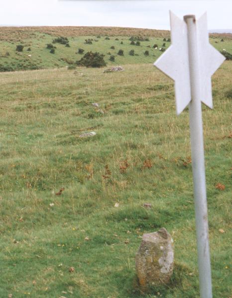 Stone Row on Dartmoor, but just outside the National Park area. 

Leads up to the Ring Cairn, marked by the star pole.