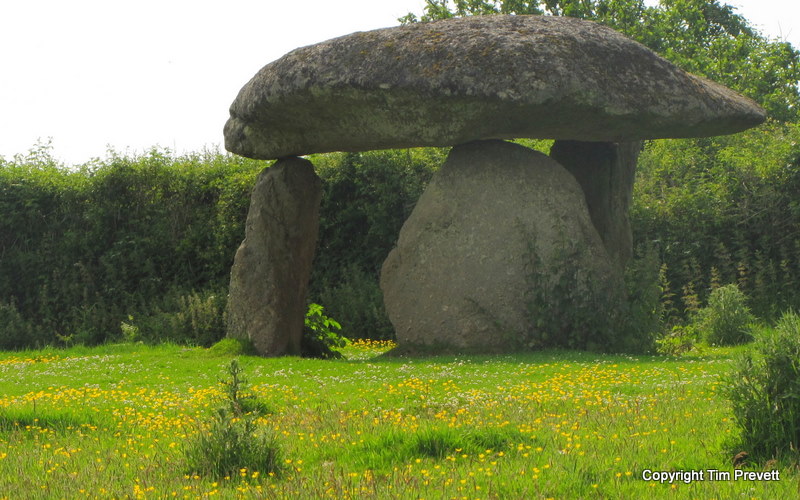 Spinsters' Rock and its meadow on a warm summer day, 3rd June 2009.