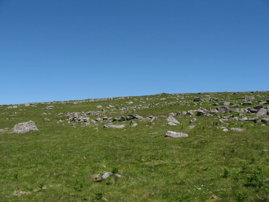 Drizzlecombe Enclosed Settlement, photograph from Prehistoric Dartmoor Walks. This is the north-western most of the settlements here at Drizzlecombe. 