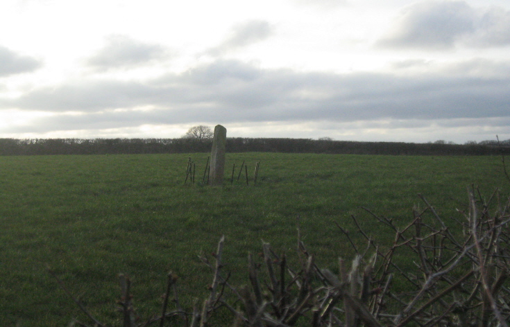 The Long Stone with its new fence, taken 5th March 2014.