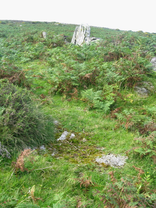 I did look around the area of those huge stones in the reave, and found a few shorter ones amongst the bracken, and this kind of 'stoney floor' area, which might just be the top of a large stone.  Maybe other visitors will see whether they think there are any huts here?   Perhaps I was near 'Hvii' on Butler's plan? (though I didn't notice a track). Stones upper right are part of the reave wall.