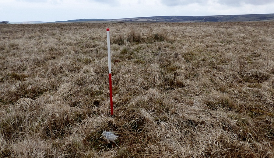 The middle stone measures 0.20m long by 0.16m wide, stands 0.05m high and is orientated at 154°. This may represent a packing stone. View from east (Scale 1m).
