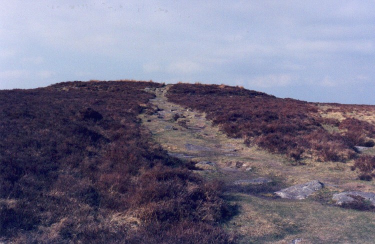 Approaching Broad Barrow from the south.  Standing on the highest part of Hamel down (532m) it is the largest barrow on Dartmoor, and The Two Moors Way runs straight through it.