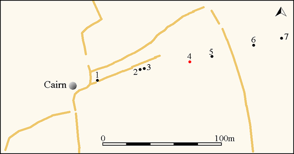 Simplified plan of the Hameldown stone row. Historic field boundaries are also shown. The red circle denotes the position of a hollow which was probably formed when a stone was removed. 
Stones plotted by GPS survey by Sandy Gerrard and field boundaries from Google Earth.