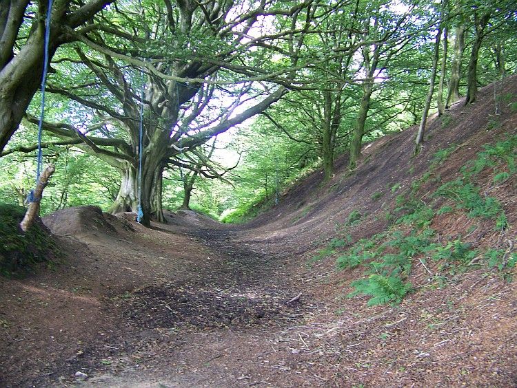 The earthwork ramparts (now tree lined) on the west side of Hembury hillfort are very impressive. I think over 10 metres high in places.