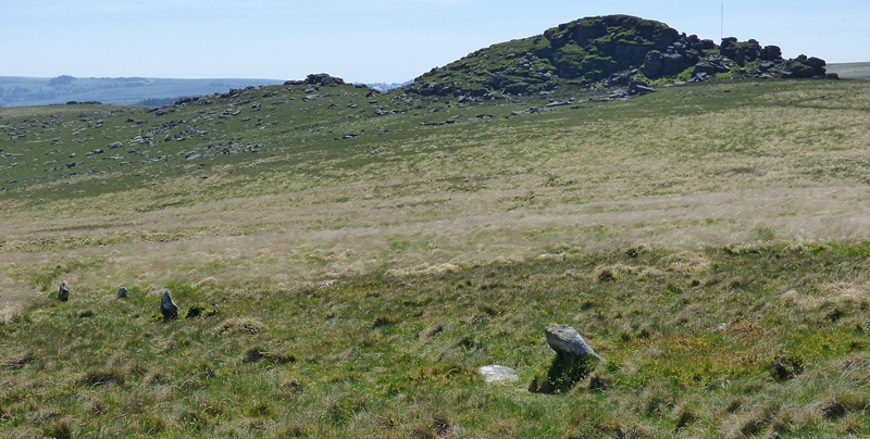 View from north east with Longaford Tor in the background.