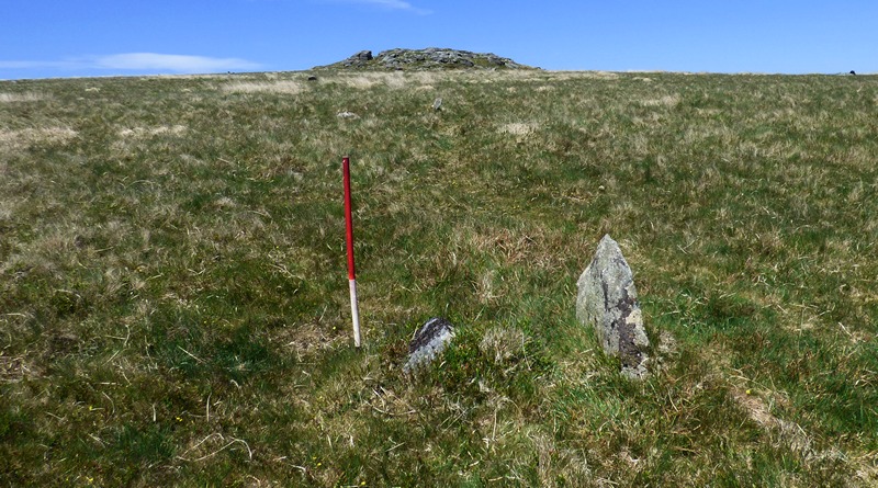 A pair of stones forming either side of the row. View from south looking towards Higher White Tor on the skyline (Scale 1m).