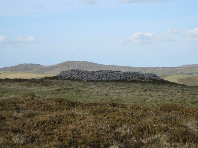Cairn C (21 x c.2.5 m high), to east of northern summit, with Chinkwell and Honeybag Tors in the background.