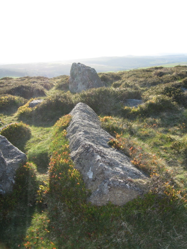 This long pointed stone mystified me.  Was it a standing stone in its own right, or part of 'an isolated hut'.  (See plan).
It lies with its base on the east of this collection of stones, pointing towards west.