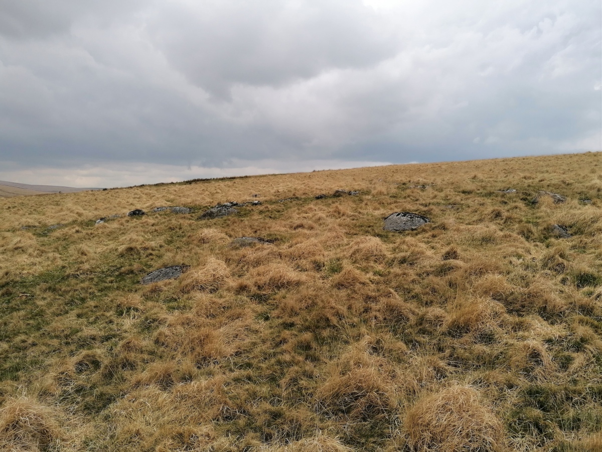 At the southwestern end of White Ridge are some remnants of ancient settlements which are very sparse and scattered, but would no doubt show some form from the air. 