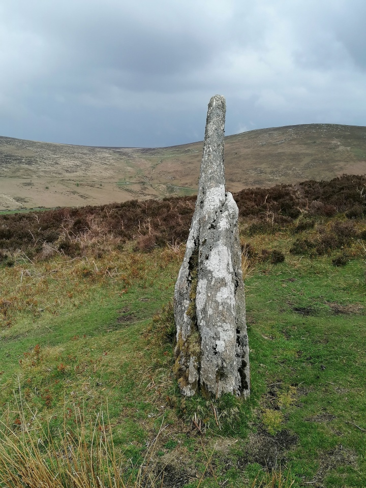 The lovely stone standing at the top of the Challacombe treble row. Viewed looking east, with Grimspound in the dip of the far ridge.