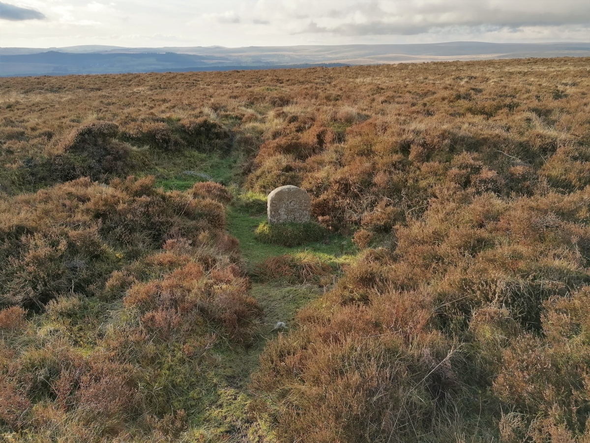 Smaller and less obvious than Broad Barrow, it too has one of the Duke Stone boundary markers on top of it.