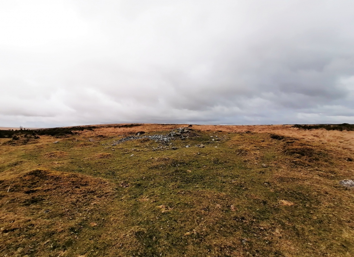 A pair of ridgetop Ring Cairns on Harbourne Head. Both quite large diameter, seemingly a ring of stone around a flat inside with a pile in the middle. The southern of the two is more distinct, and the central mound and ring are more obviously comprised of stones. I didn't see anything resembling a circle of upright stones!