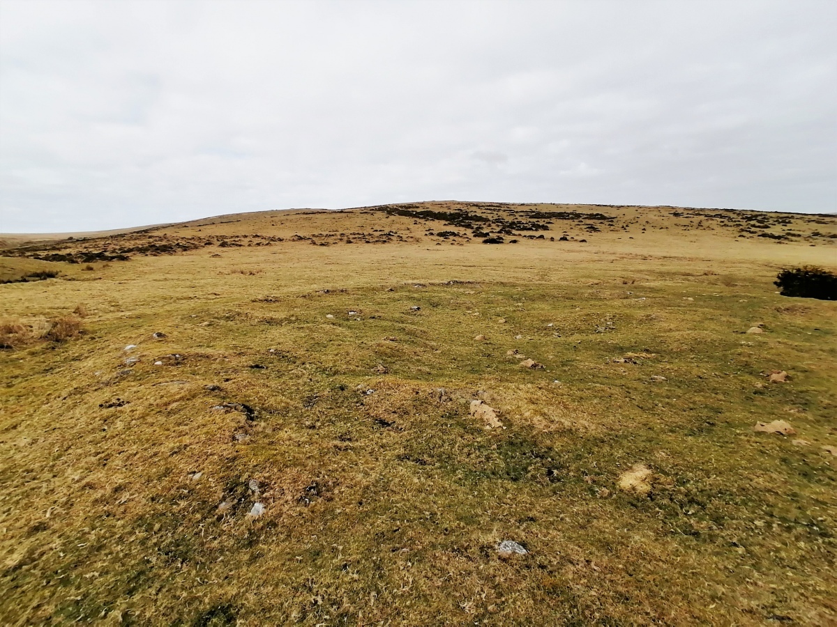 Just to the north of the large gateway is a clearly defined ring cairn.