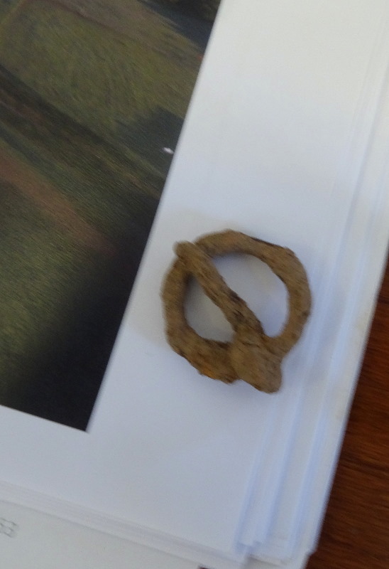 Sorry this one isn't so clear.  May have been a brooch uncovered in 2019?