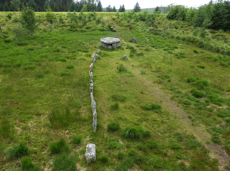 View from above and east (Scale 1m). The shift in alignment is clearly visible. The distinctive Longaford Tor appears to be the focus of the row. Longaford Tor is not visible at ground level  from most of the row, only appearing as the top stone near the cist is reached. The precision of this reveal strongly supports the idea that this row was carefully positioned to bring the tor into view at the