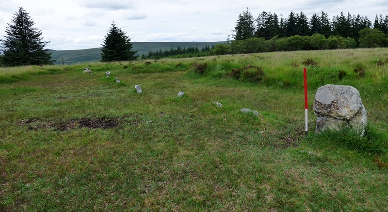 This row is composed mainly of small stones. A small group of people could have erected it in a few hours. View from the south east.