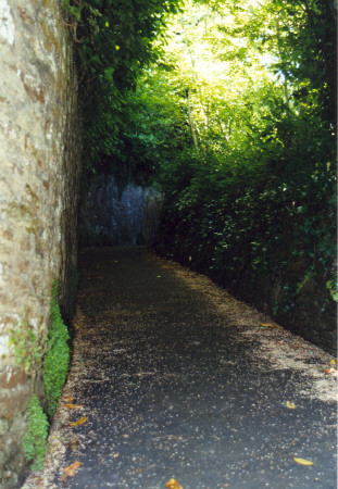 KiwiBetsy describes the journey to this well beautifully.  Here is the lane (Leechwell Lane) that leads down from the top of Totnes town. 
Once you've hunted it out - tucked away in a corner past some  cottages - it is like entering a magical tunnel with the overhanging trees and dappled sunlight filtering through.  You have the feeling that you've stepping back in time.
Looking uphill here, a l