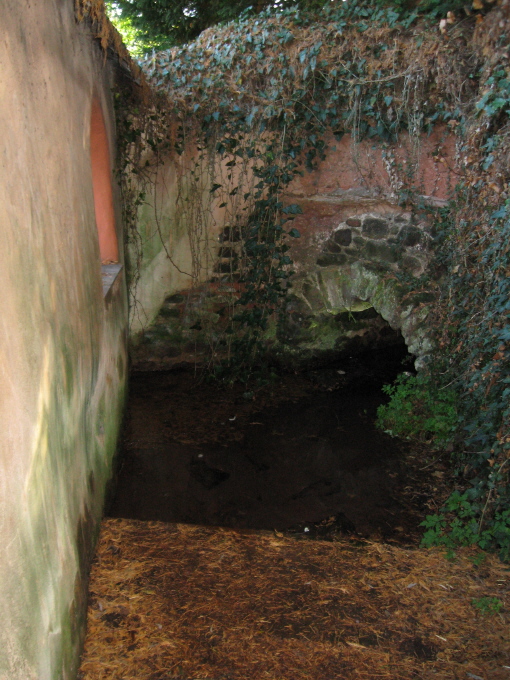 First view of Libbett's Well.  It's situated in quite a dark corner, but the aperture in the wall to the left allows some light.