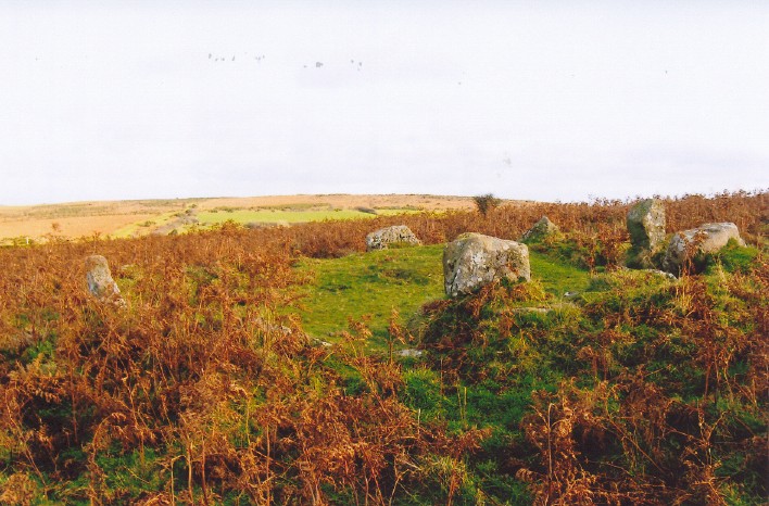 Looking approx East over the Cairn Circle on the lower northern slopes of Mardon Down.