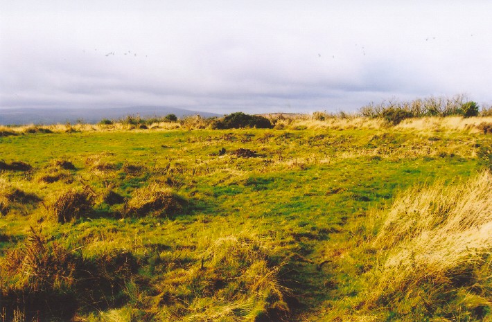 The saucer-shaped depression of the ring cairn on Mardon Down, looking approx NW.  (20 m. across, according to Butler).