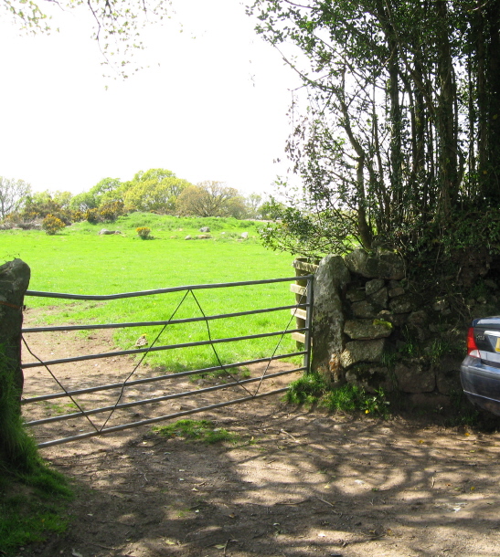 This is where we parked, just tucked in as closely as possible to the hedge here where it's a bit wider, but please be careful not to block the gateway in case the farmer needs to enter the field.
We then walked back up the lane to the previous gateway.