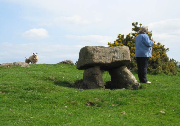 I had to smile at the way these sheep seemed transfixed with curiosity as they watched Jackie with her dowsing rods.