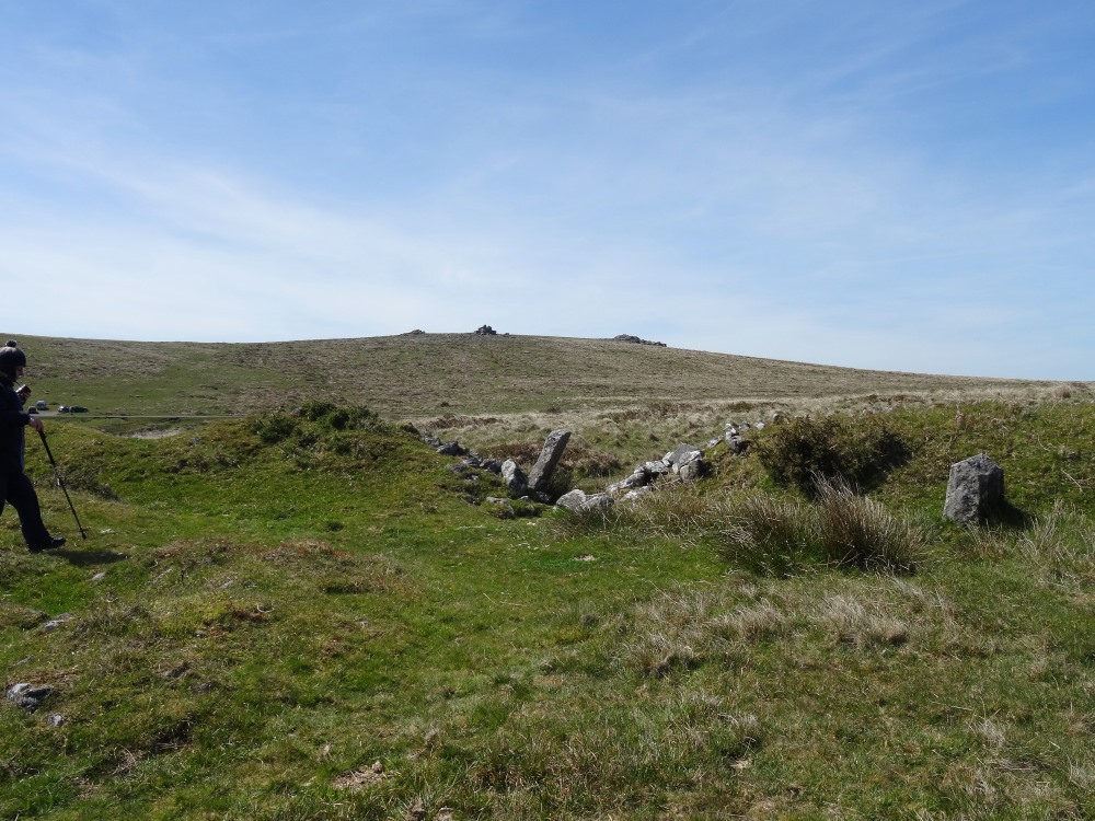 Another angle on the terminal cairns and the gap in the field wall, by the leaning tallish stone, centre. (Maybe it was once part of the row?)  
AnneT (on top of Cairn 1) walks towards the stone row (right).  That's Leeden Tor in the background, and over her shoulder, our cars parked, on 14th May.
SandyG-led walk.