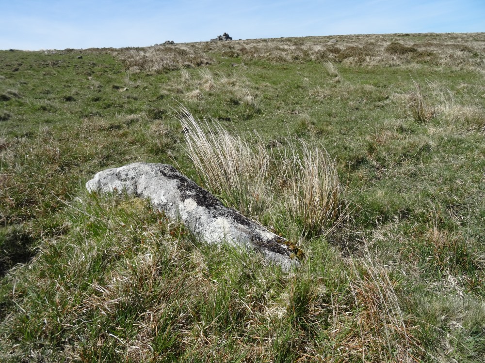 A sizeable stone here, that presumably once belonged to the row.