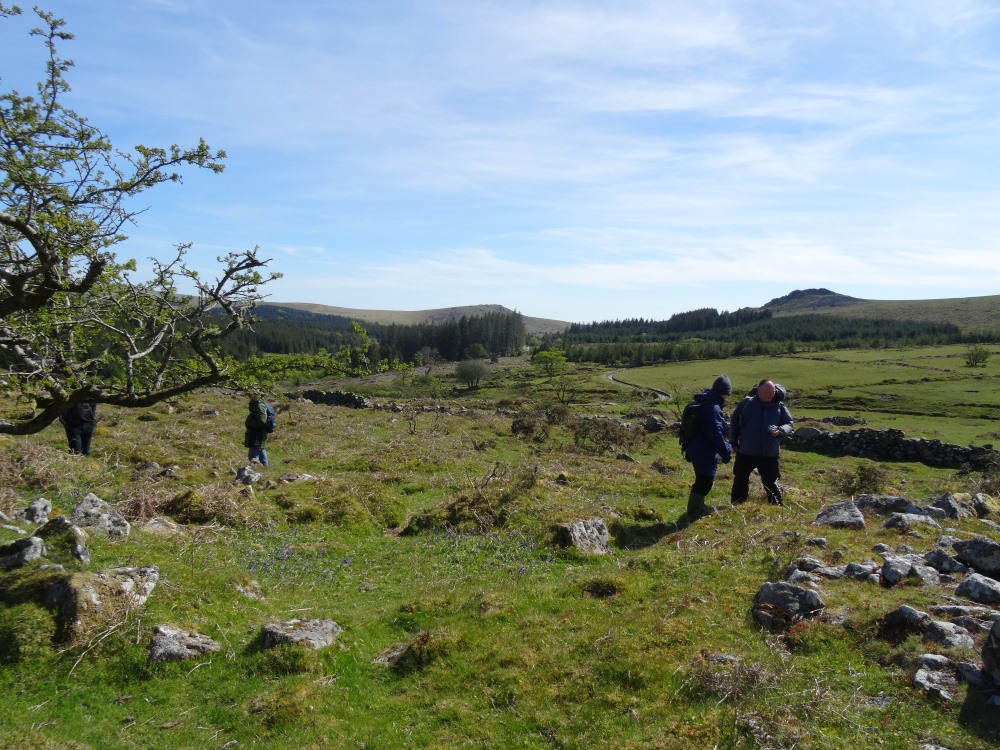 Janet Daynes and Dave Parks discuss another hut circle at Stanlake.  Leather Tor rear right.