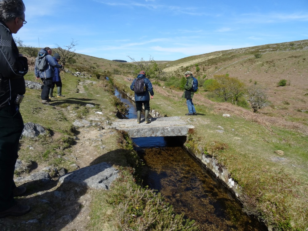 SandyG on a smaller granite bridge over Devonport Leat, below Stanlake Settlement.  Crossing to the side nearest the River Meavy on the way to Hart Tor stone rows.
14 May