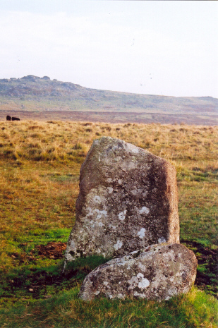 One of the larger stones in the southern row at Merrivale (also referred to as the 'central row' on this site page.)  About 6pm on 10.10.07.
Looking south here with King's Tor in the background.