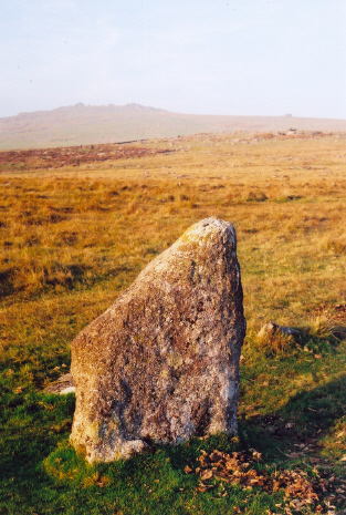 A noticeable stone in the southern row at Merrivale.  (Also called central row on this site page.)
Taken about 6pm on 10th Oct. 2007, with Great Mis Tor at approx NE in background.
(The Captain has also posted a photo of this stone from the other side, showing its position in relation to the large cist.)