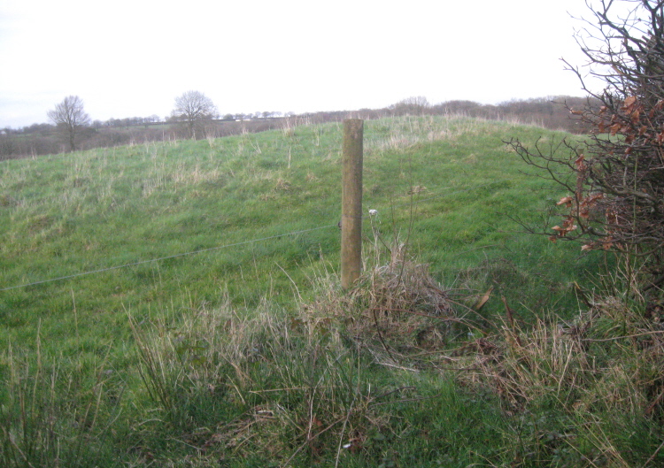 The 'tumulus' or round barrow just inside the gateway.  It is not far off an E-W alignment with the larger group of 'tumuli' - 'East Burrow' ?  - further east.  ('Middle Burrow' must be the two shown SSW of those.)