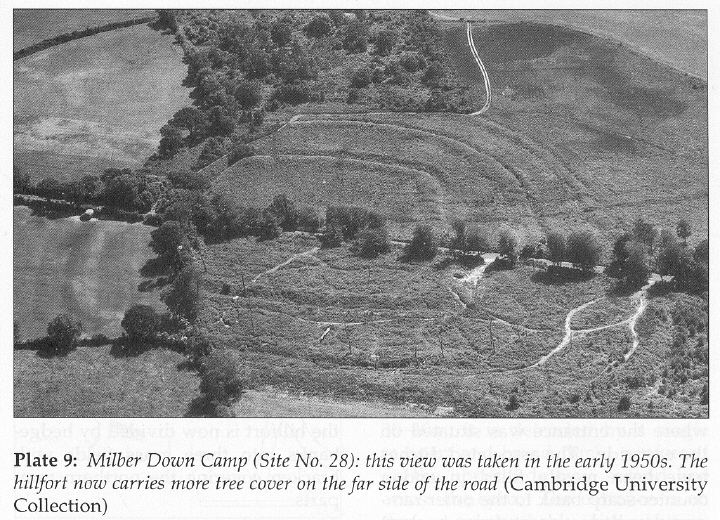 An aerial view of Milber Down Camp taken in the early 1950s. [Copyright: Cambridge University Collection, and Aileen Fox.]  Taken from Devon Books' 'The Making of Devon Series', 'Prehistoric Hillforts in Devon' by Aileen Fox, Published 1996.