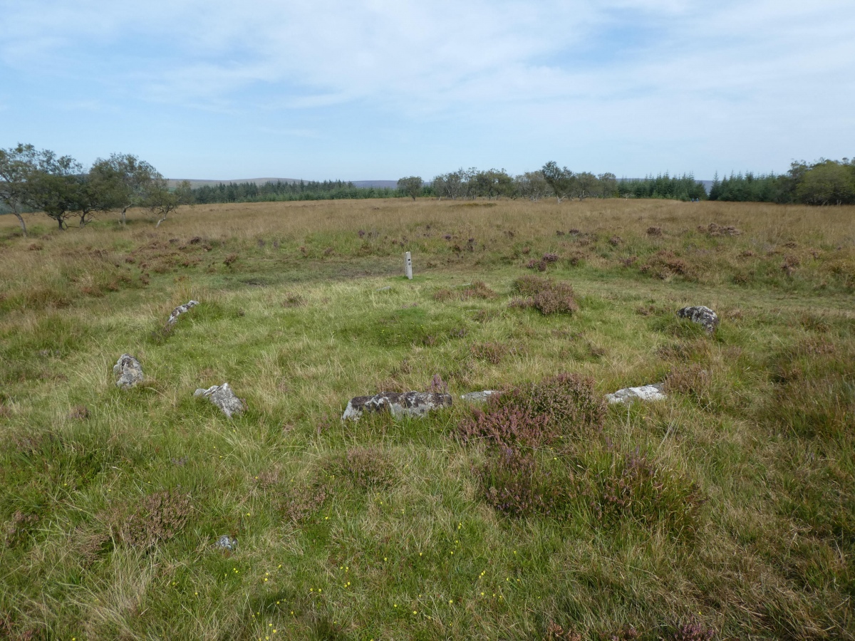 Lakehead Hill Cairn Circle 1 is a ring of 13 small pale stones, about 6 m in diameter. Nothing much to be found within the circle except for one other flat slab. 
