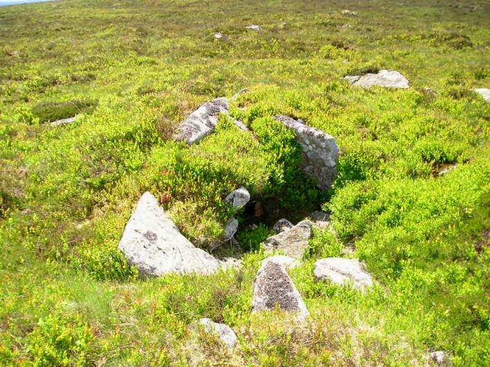 Cosdon Hill Summit Cairns, Dartmoor, Devon SX636915 to SX637917

The remains of five cairns can clearly be found at the summit of Cosdon Hill. 

The fourth cairn is a round cairn, but containing a clearly visible cist structure within it, and also possible remains of a stone surround. 
