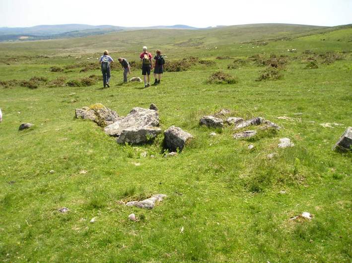 Cosdon Hill Cairn Circle, Dartmoor, Devon SX643916

On a flatter shelf of land on the eastern side of Cosdon Hill are the splendid remains of a cairn and treble stone row. 

The remains of the cairn at the uphill end of the rows is approx 8 metres in diameter, and has been substantially messed about with. Despite this, there are the clear remains of a double cist in the centre of the cairn, th